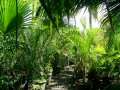 Jardin botanique de l'Oasis du Couchant