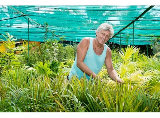 christian bondaz oasis du couchant pepiniere traditionnelle a la reunion 974