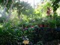 Jardin botanique de l'Oasis du Couchant