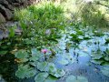 Jardin botanique de l'Oasis du Couchant