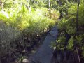 Jardin botanique de l'Oasis du Couchant