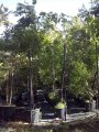 Jardin botanique de l'Oasis du Couchant