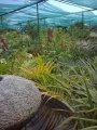 Jardin botanique de l'Oasis du Couchant