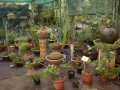 Jardin botanique de l'Oasis du Couchant