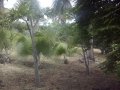 Jardin botanique de l'Oasis du Couchant
